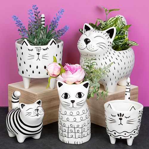 Quirky Cats Collection