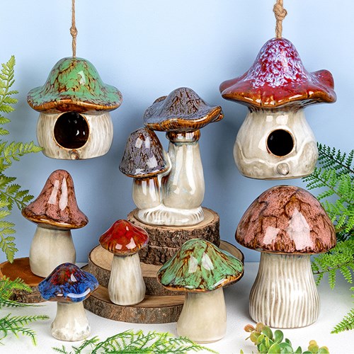 Magical Mushrooms